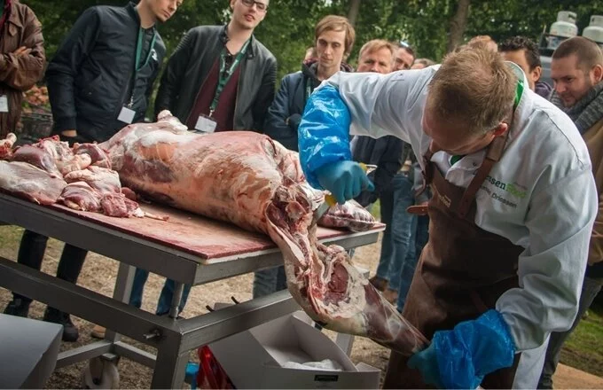 Nieuws: Fresh Academy is back in action!