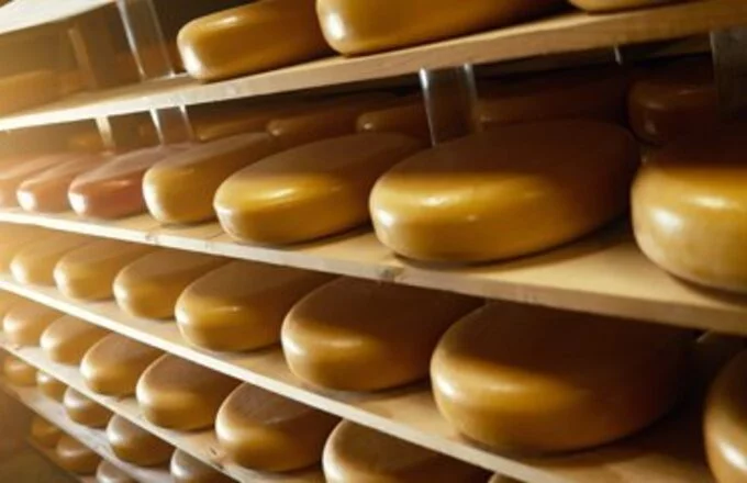 Nieuws: Regional, sustainable and delicious, Utrecht-style.