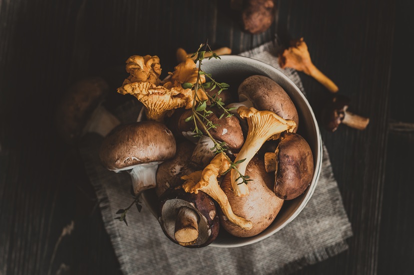 Seizoen: Het najaar komt los, paddenstoelen en vis op zijn best