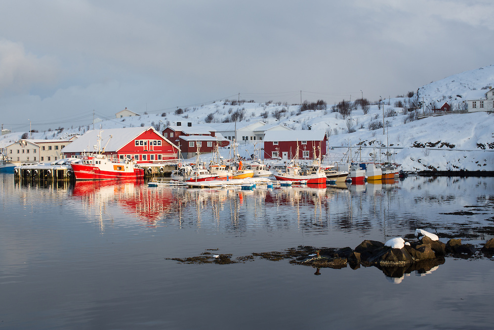Seizoen: Skrei-seizoen geopend